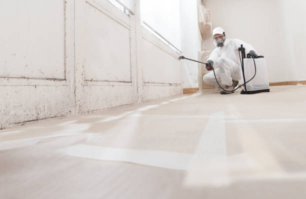 24/7 Emergency Mold Removal experts in Hamilton, TX