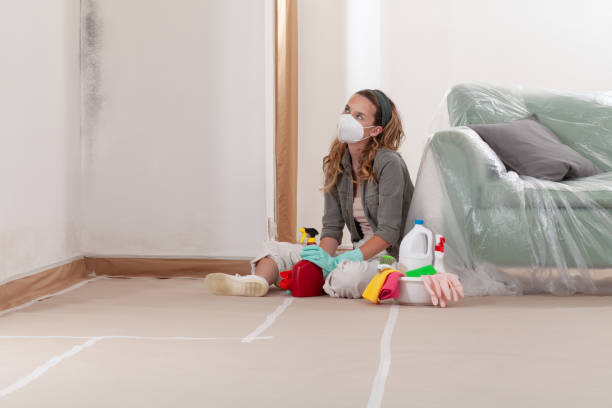 Reliable Mold Removal contractor in Hamilton, TX by WQB Mold Removal
